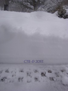 Well over 33 cm of snow! 