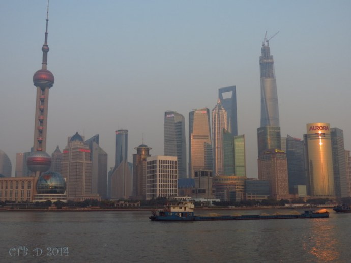 Pudong area with the skyline filled with buildings